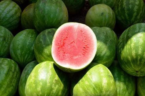 网红吃瓜资源分享,揭秘热门事件幕后真相